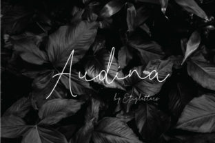 Audina: The Stylish Script Font for Modern Web Design
