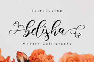 Belisha: A Modern Script Handwritten Font for Elegant Digital Branding