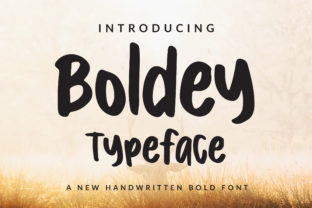 Boldey: The Modern Script Font for Scroll-Stopping Campaigns