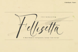 Fellisetta: A Modern Script Handwritten Font for Branding