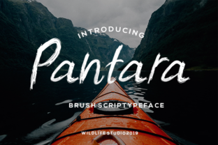 Pantara: The Bold Script Handwritten Typeface for Modern Web Design