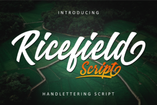 Ricefield: The Vintage Script Handwritten Font for Standout Branding