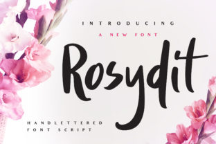 Rosydit: The Sweet Script Typeface for Creative Campaigns